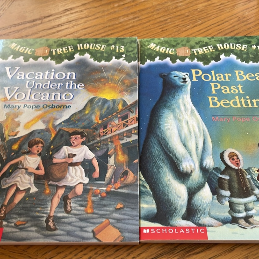 Magic Tree House Softcover Chapter Books #4 to #28 (25 books) NEW Condition - Picture 8 of 15